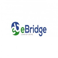 eBridge - Professional Training Institute
